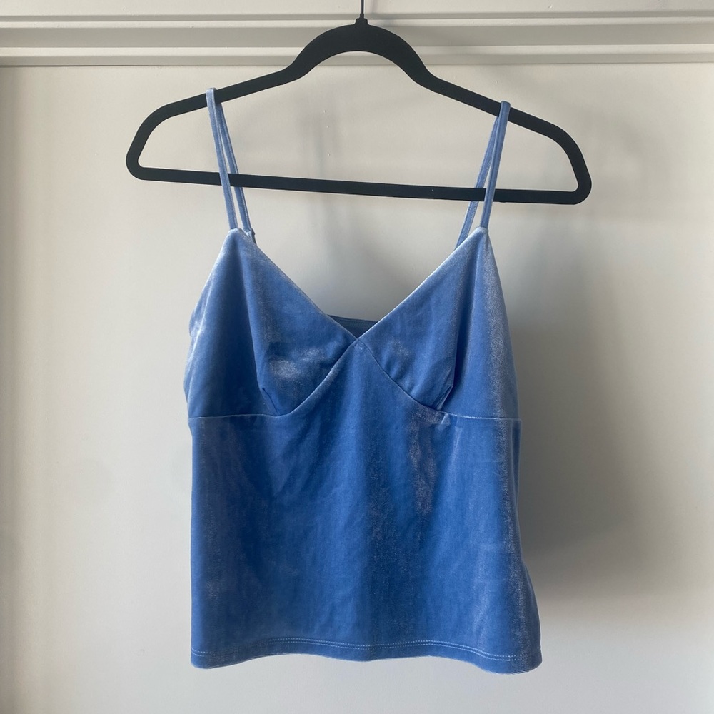Blue Velvet Crop Top